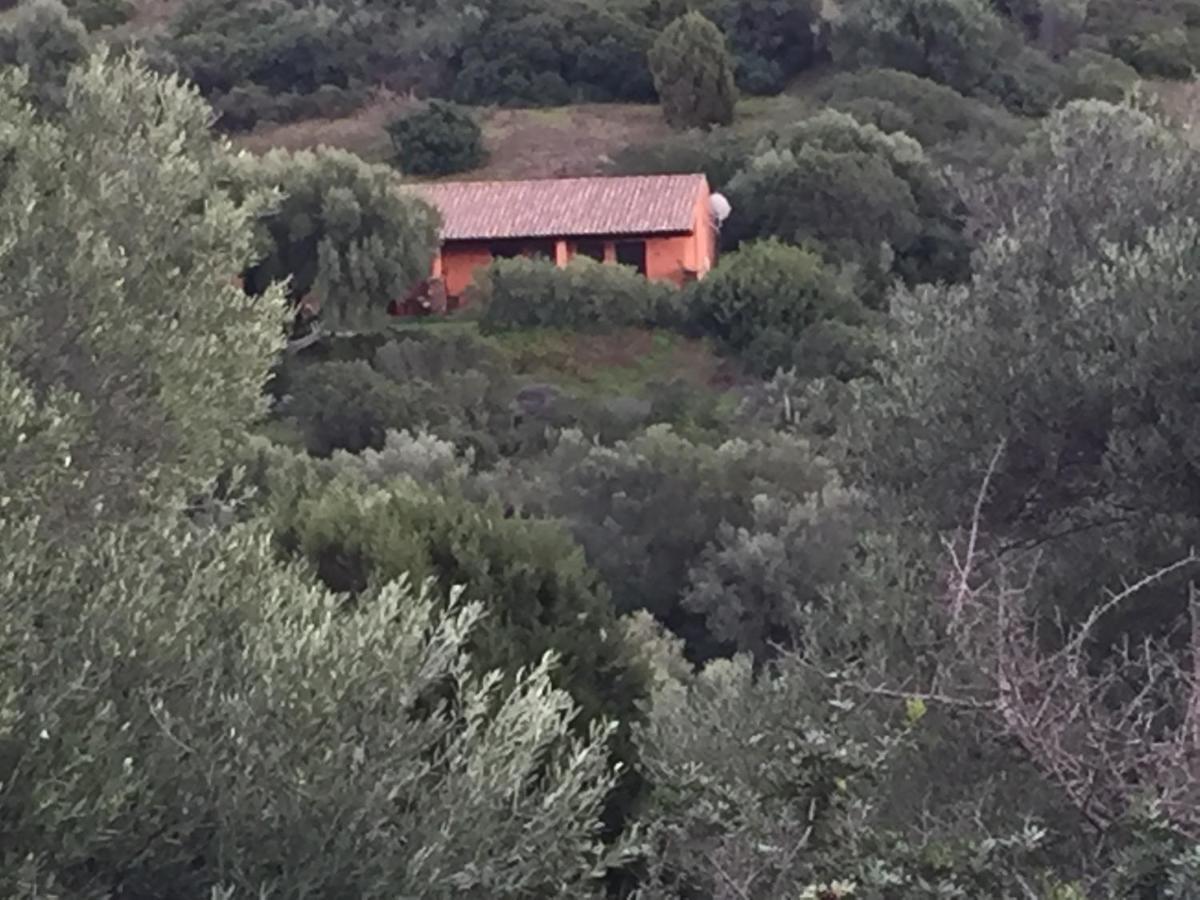 Amalfatah Otel Teulada Dış mekan fotoğraf