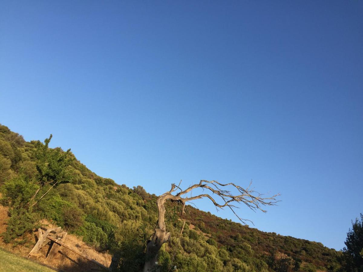 Amalfatah Otel Teulada Dış mekan fotoğraf