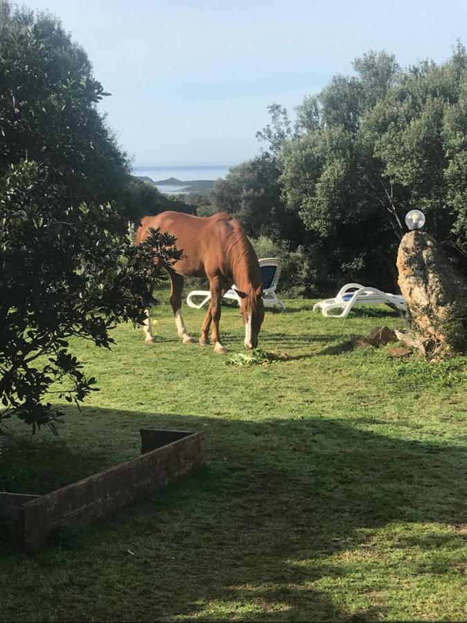 Amalfatah Otel Teulada Dış mekan fotoğraf